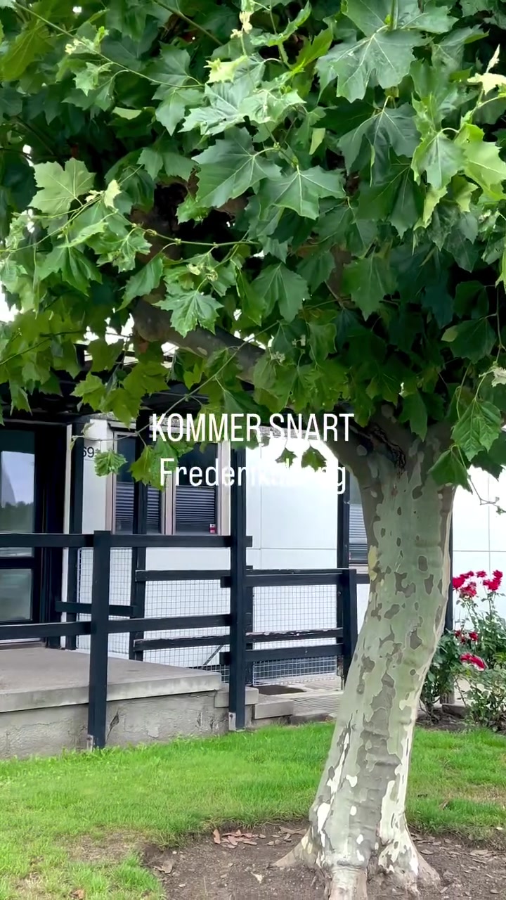 4-værelses bolig – Frederiksberg