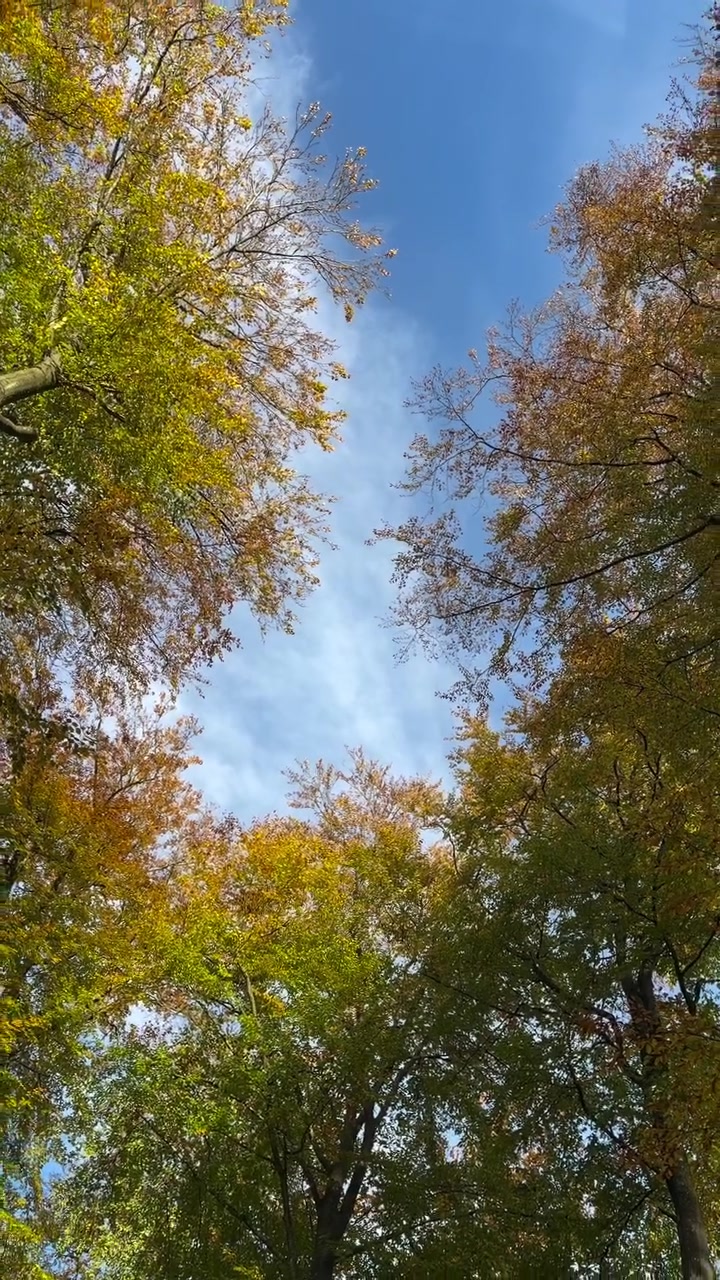 Skuffebolig, 312 m² – Holte